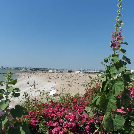 Residence Avec Piscine Face Au Port 200M Plage