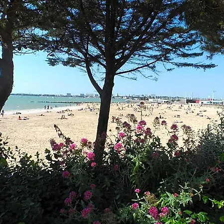 Avec Piscine Face Au Port 200m Apart Otel 3*